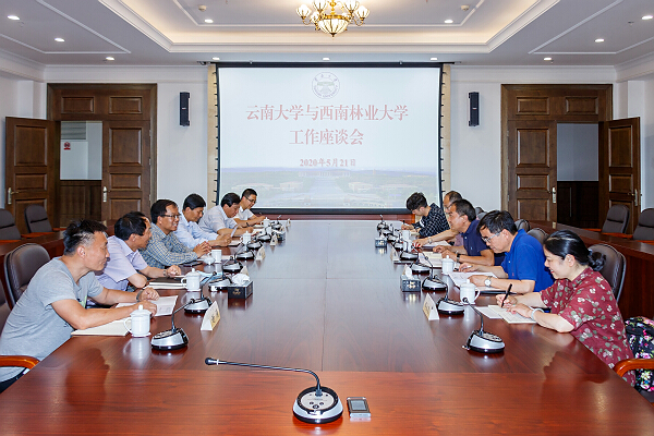 1590573305492064502.jpg 西南林大.jpg