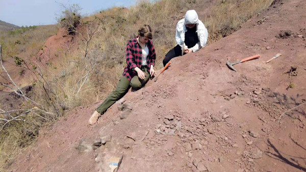 1621394526503097176.jpg YNU 恐龙2.jpg