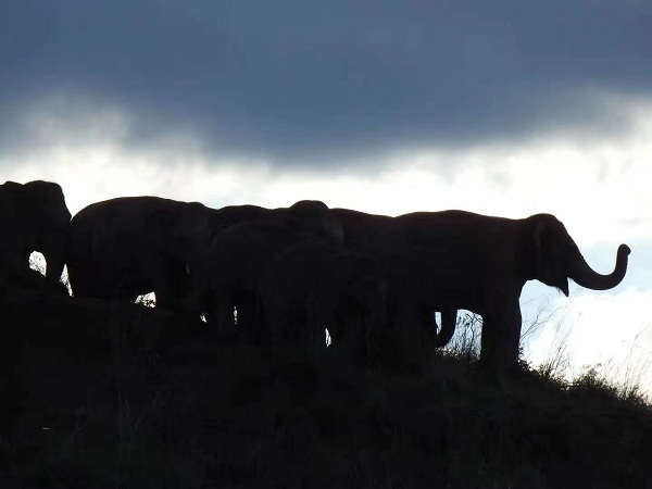 1625561415468069609.jpg 22.jpg