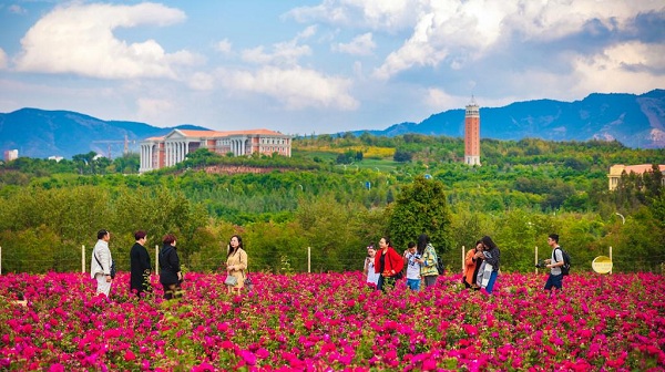 YNU good for students study, live 