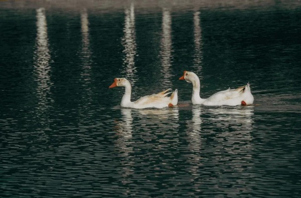 1638780865135041659.jpg 2.jpg