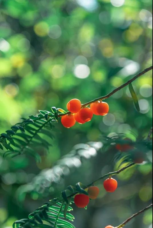 1642583047584013328.jpg 1.jpg