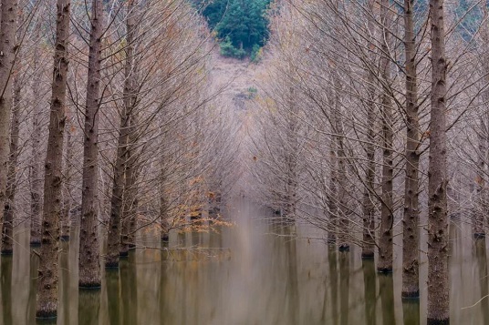 1642583063357031936.jpg 2.jpg