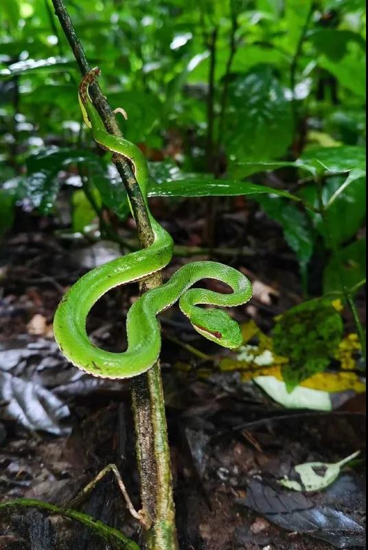 1642583074638007852.jpg 3.jpg