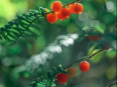 YNU students show flair, panache in photography contest