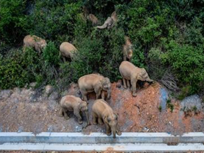 YNU makes major gains in natural science research