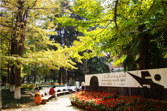 1644821917373036545.jpg 1509521897294036106.jpg