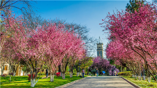 1644821944321033159.jpg 1509522019052030988.jpg