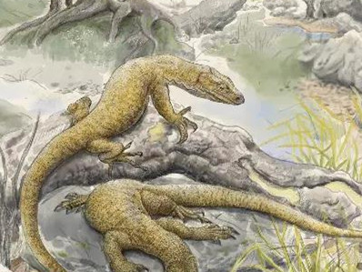 YNU professor examines Chinese achievements in top journal  