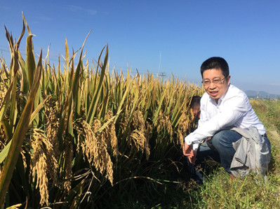 Chinese researcher named one of world's most cited scholars 