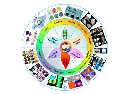 Team from Yunnan University publishes article in world's top journal