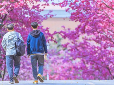 Yunnan University welcomes alumni back to campus