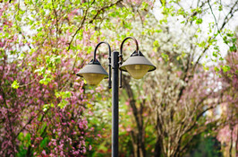 奖学金 Scholarships