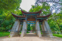 在线申请 Online Application