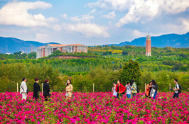 招生简介 Introduction of Admission & Scholarship