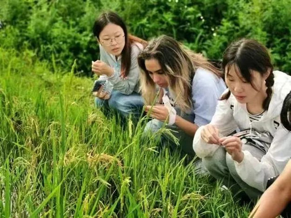 1693997593878056283.jpg 640.jpg