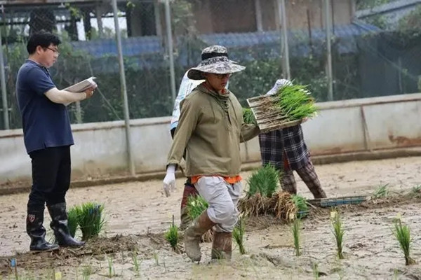 1712470558742003218.jpg 640.webp.jpg