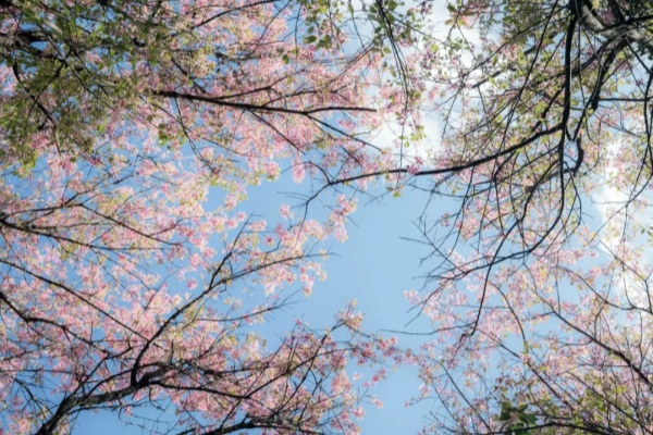 1736820751496010855.jpg 640 (4).jpg