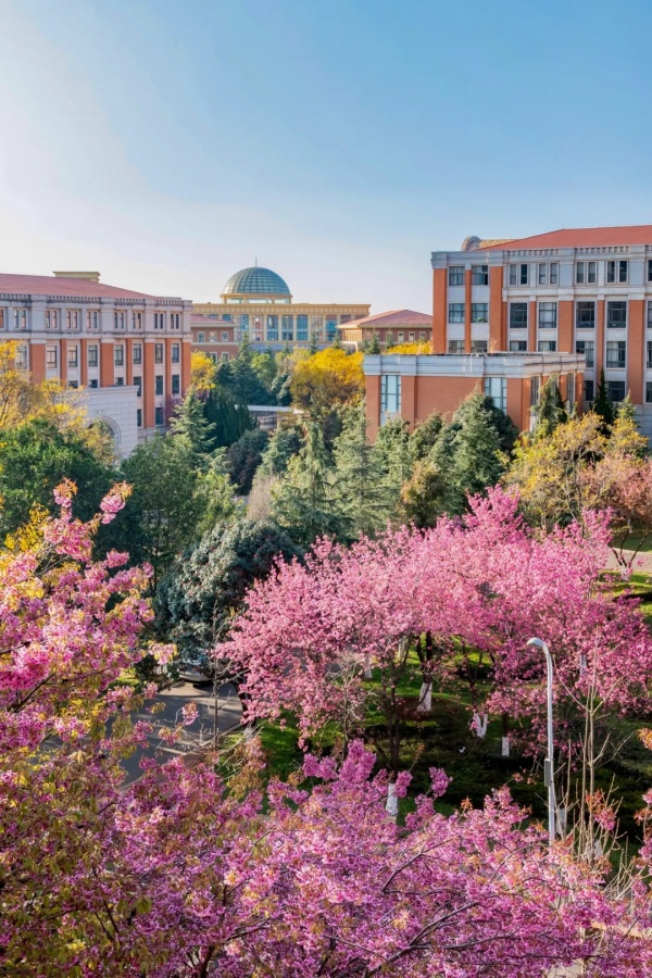 1736820776976065673.jpg 640 (3).jpg