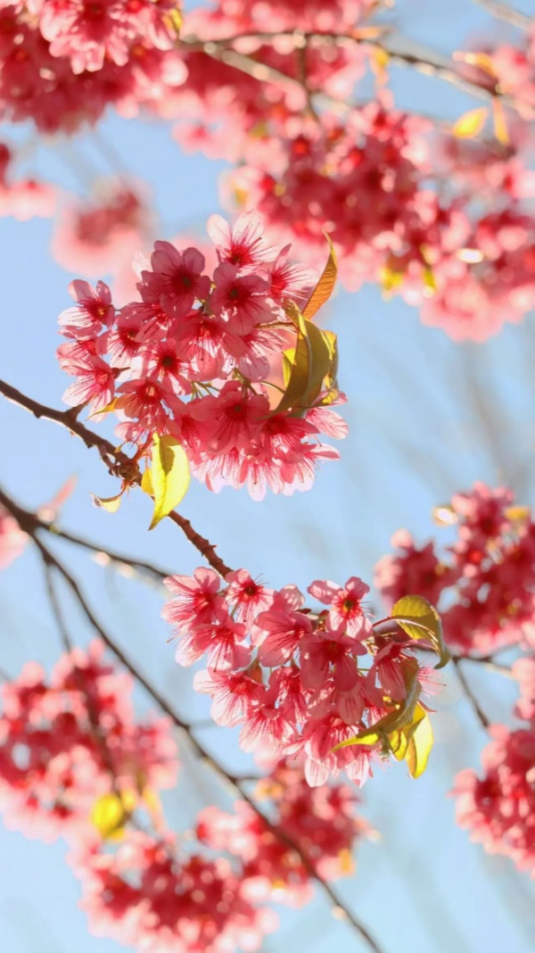 1736820790294025078.jpg 640 (5).jpg