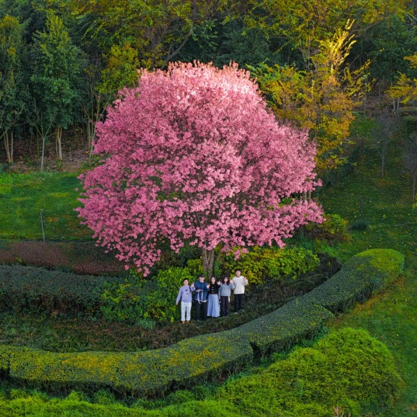 1736820802767089367.jpg 640 (6).jpg