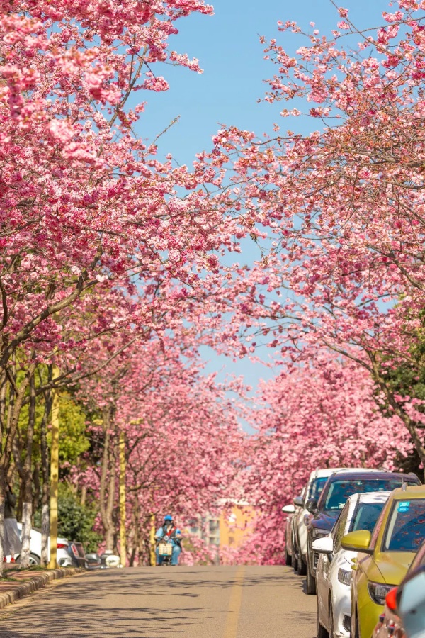 1742895730619028936.jpg 640_副本.jpg