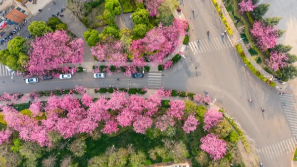 1742895769743080584.jpg 640 (1)_副本.jpg