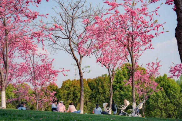 1742895783558082970.jpg 640 (4)_副本.jpg