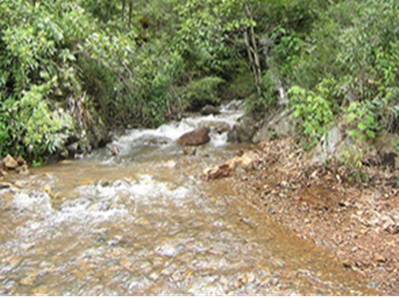 Yunnan University professors research international project