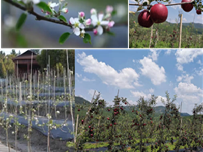 Rural vitalization project in Yunnan University supported by national ministry 