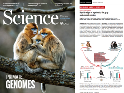 YNU research project among 10 major advances in China