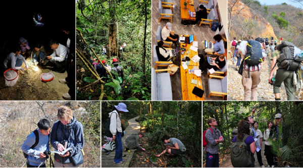 1711000054504023318.png AE7D51BC6606B8CED27FDB49CD5_6E1AC4C4_102FB3.png